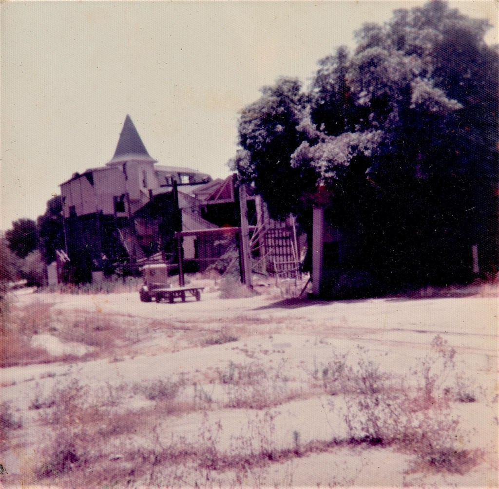 A view of a dilapidated building with a pointed roof, partially obscured by trees, and overgrown grass in the foreground.