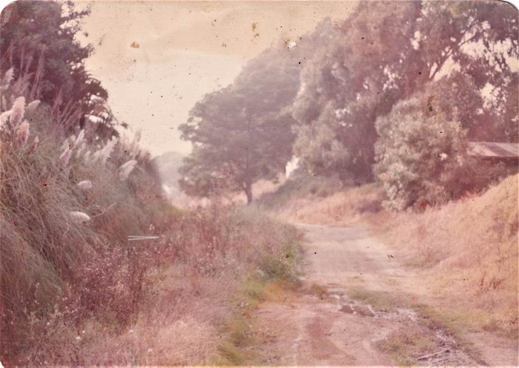 A faded photograph of a dirt pathway bordered by tall grass and shrubs, with scattered trees in the background.