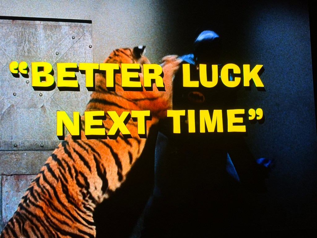 Scene featuring a tiger and a person in a dark costume with the caption 'BETTER LUCK NEXT TIME' in bold yellow text.