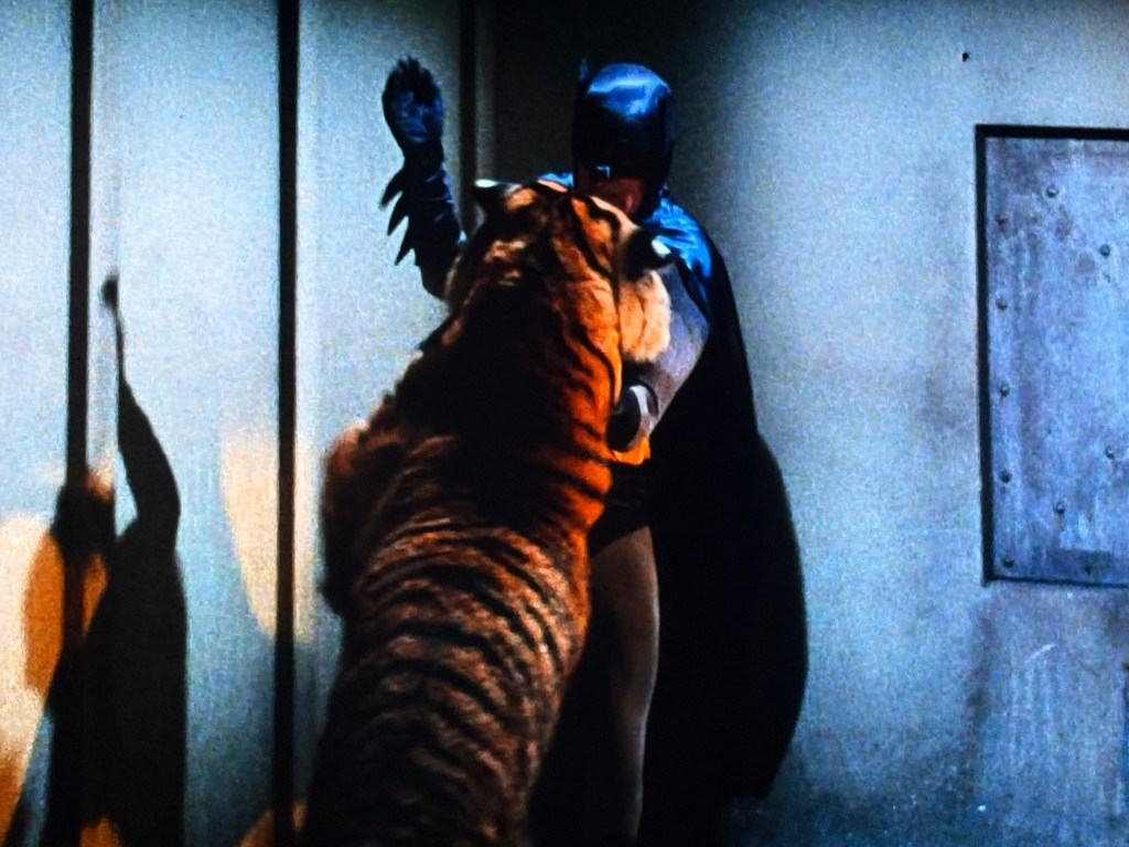 A scene showing Batman facing a tiger in a dramatic confrontation.