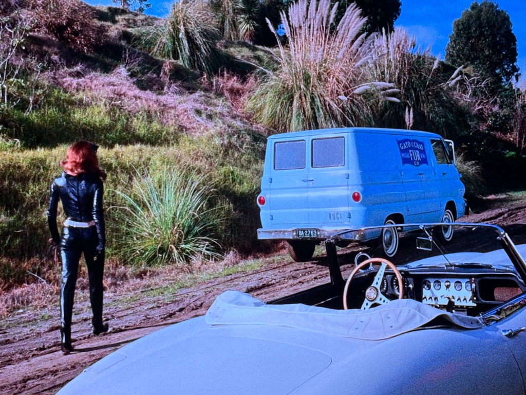 A woman in a black leather outfit stands on a dirt road, facing away from a vintage blue delivery van parked nearby, with tall grass in the background.