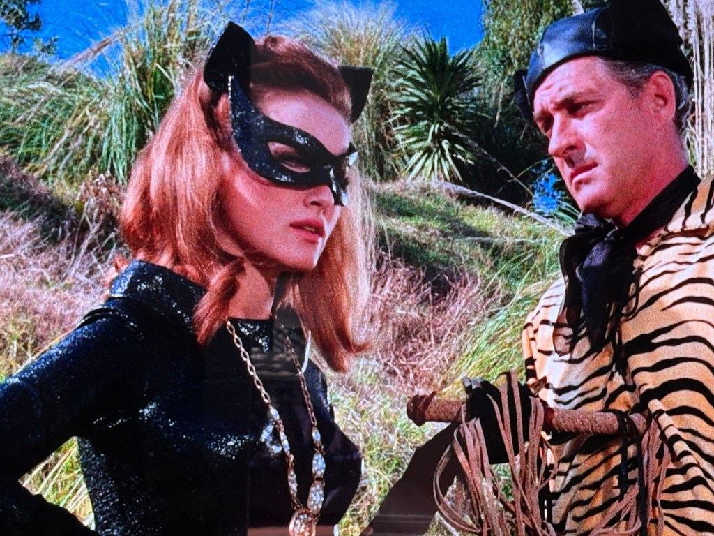 A woman in a black cat costume with a mask and necklace stands confidently, while a man in a tiger-striped outfit looks at her intently, both surrounded by greenery.