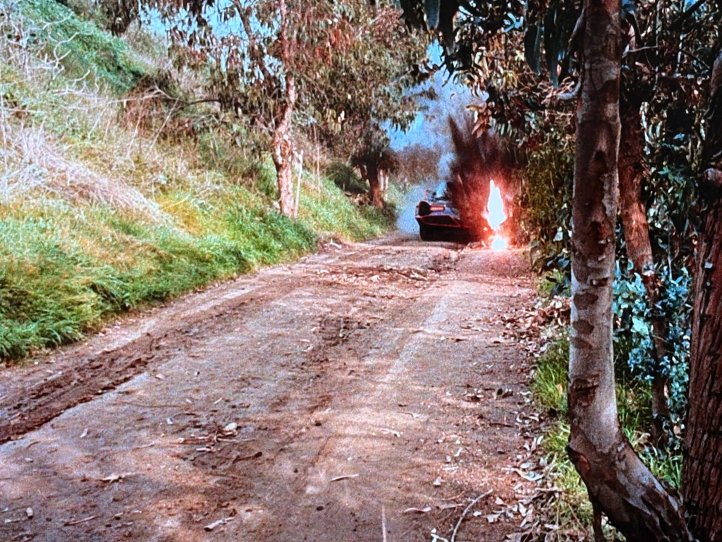A dirt road surrounded by trees, with a car on fire in the distance.
