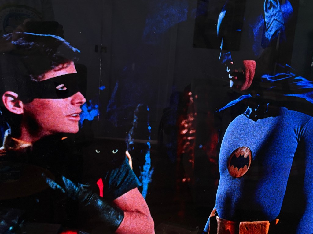 A classic depiction of Batman and Robin in costume, engaging in conversation. Batman is wearing his iconic blue suit and mask, while Robin is in his red and green outfit. A black cat is visible in the background.