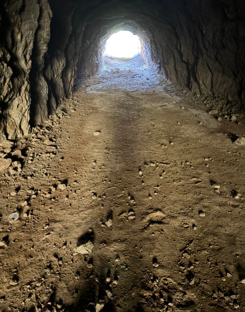 Inside a cave looking out towards a bright opening at the end of a rocky tunnel. The ground is uneven and covered with dirt and small stones.
