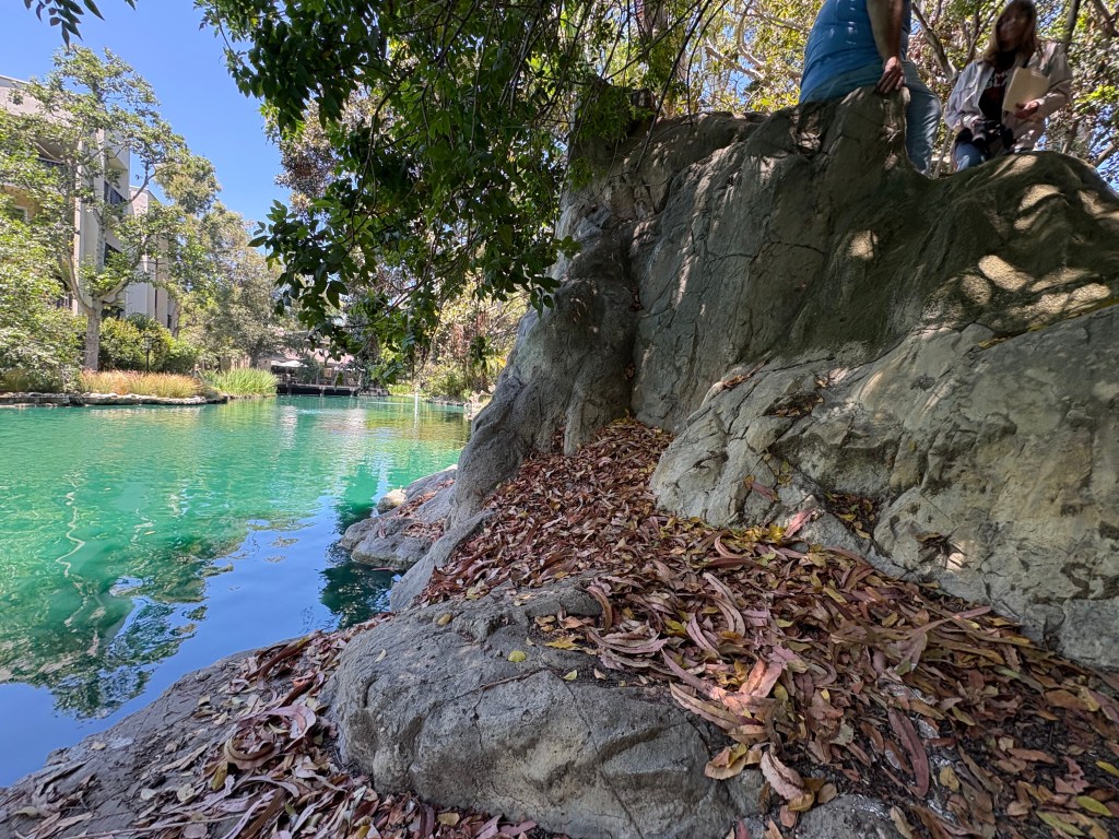 A rocky shore with colorful leaves and a serene, green pond in the background, framed by lush trees and buildings.
