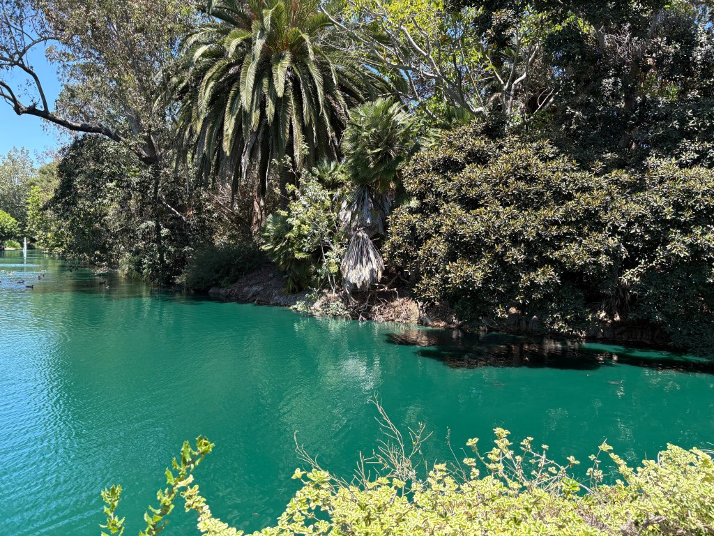 A tranquil scene featuring a vibrant green pond surrounded by lush trees and palm plants.