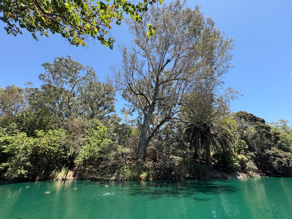 A serene landscape featuring a body of turquoise water surrounded by lush greenery and trees on a sunny day.