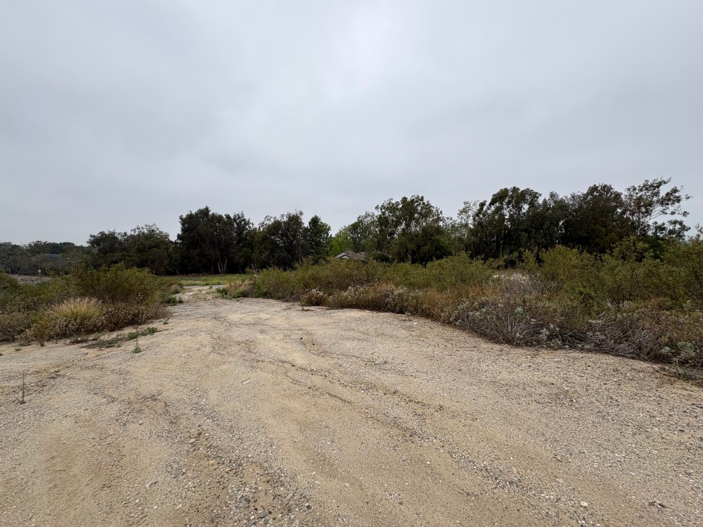 A desolate dirt pathway surrounded by sparse vegetation and trees under a cloudy sky.