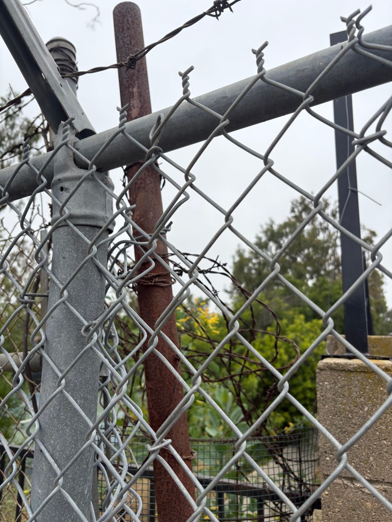 Close-up view of a chain-link fence with a rusted metal post and barbed wire in the background, surrounded by greenery.