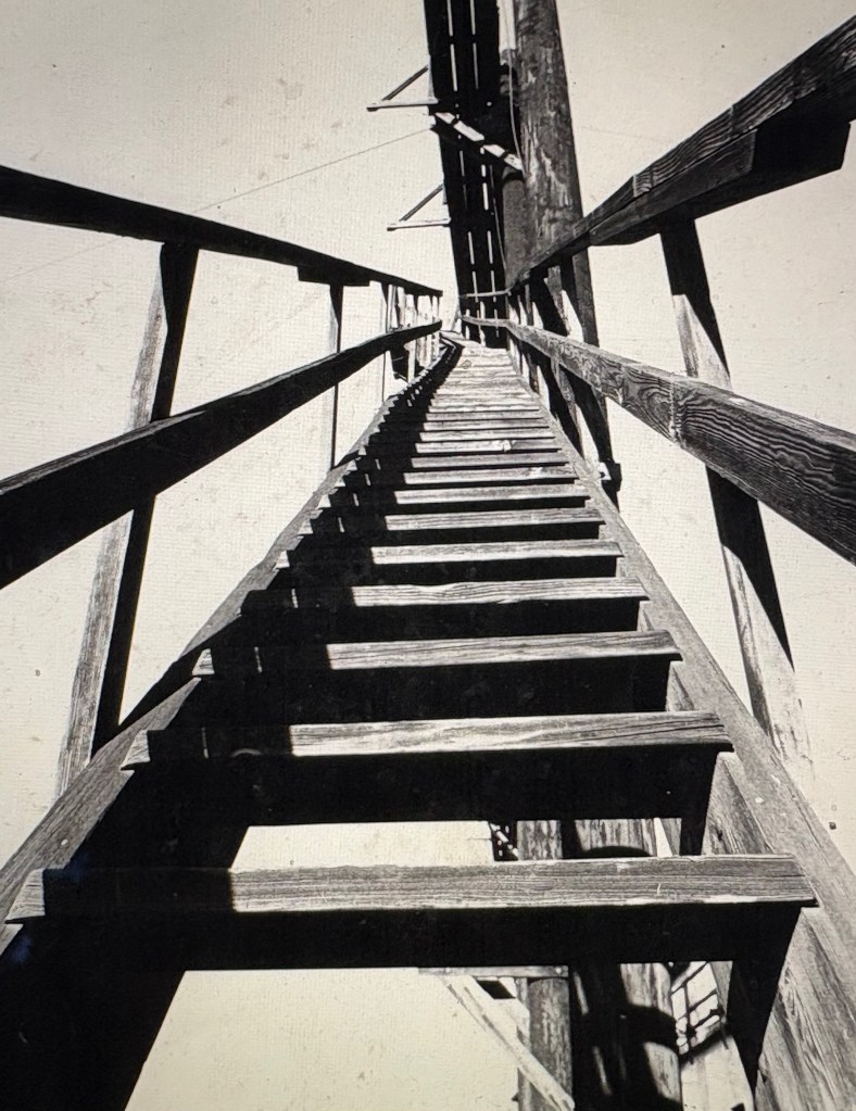 Looking up the wooden stairs of a tall structure, emphasizing the perspective and depth of the climb.