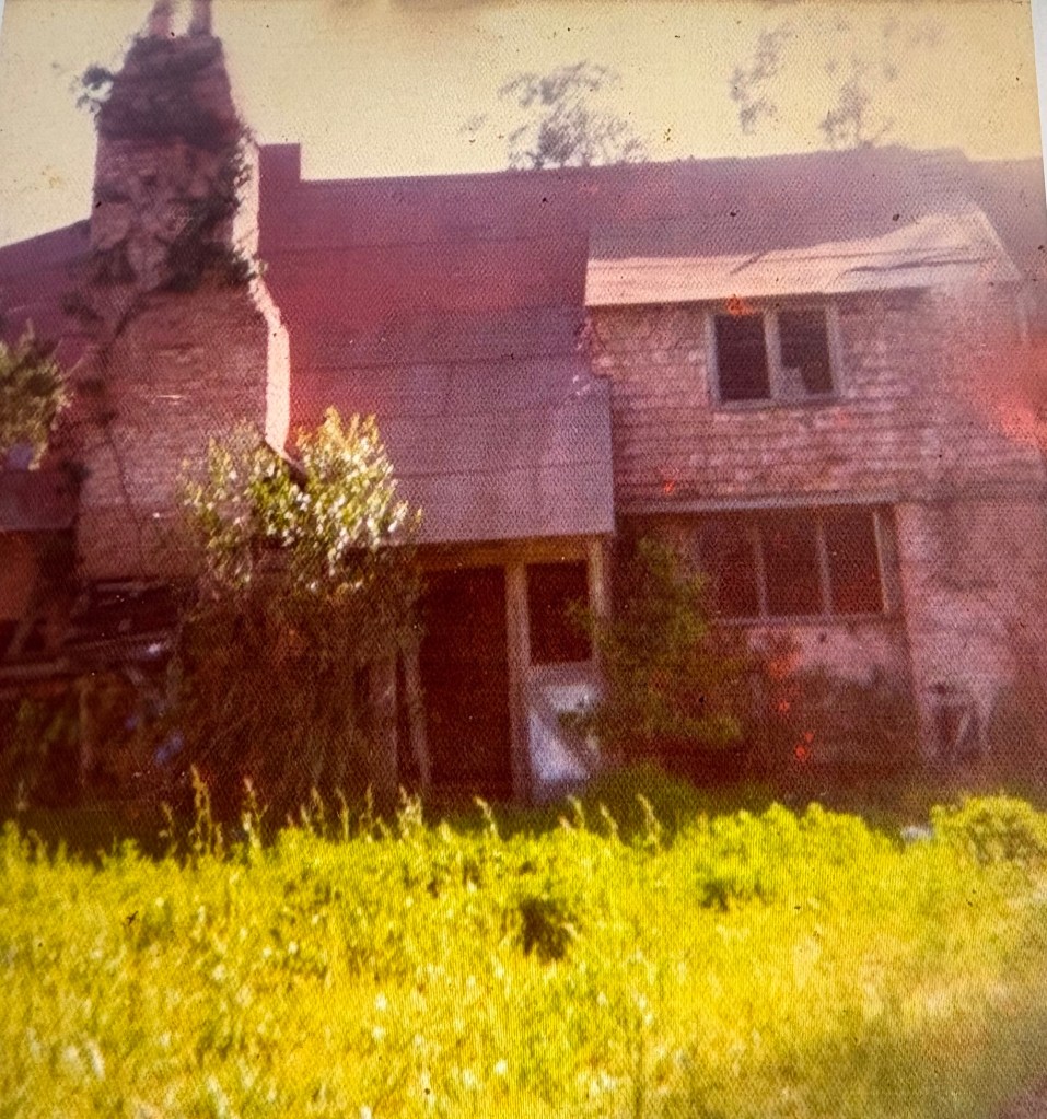 A dilapidated house with a partially collapsed chimney and overgrown vegetation in front. The building features a mix of stone and wooden materials, with several broken windows and a neglected appearance.