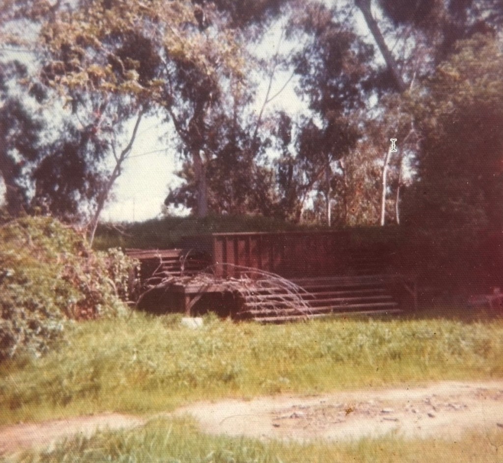 An overgrown area featuring a wooden structure partially hidden by greenery, with trees in the background and a grassy foreground.