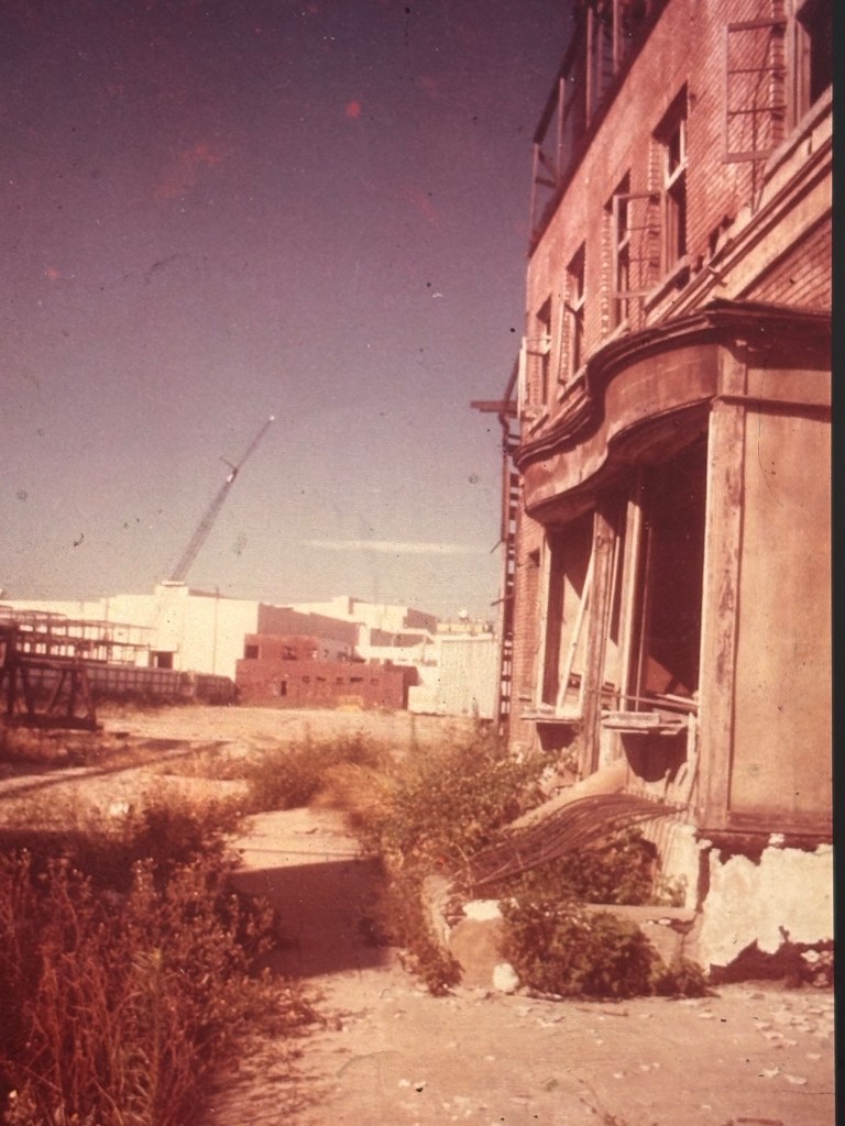 An abandoned brick building with broken windows and a decaying facade, surrounded by overgrown vegetation and an empty lot. In the background, a construction crane is visible against a clear sky.