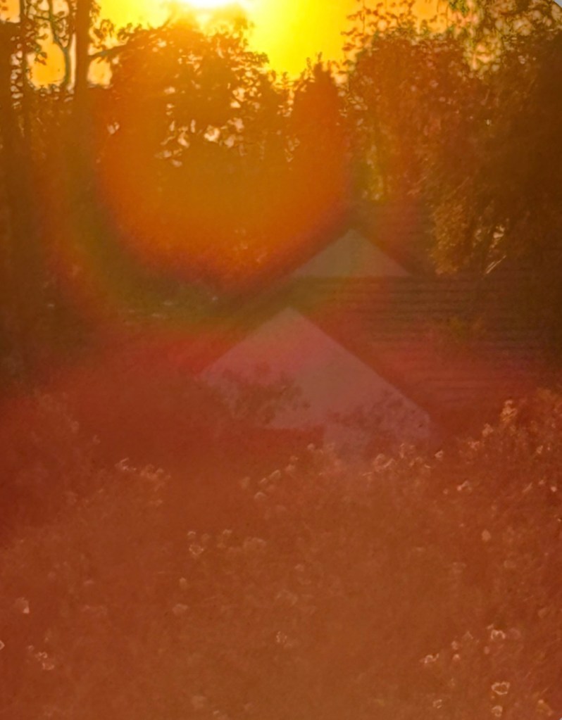A sunset casting warm hues over a tree line, partially obscuring a house in the foreground.