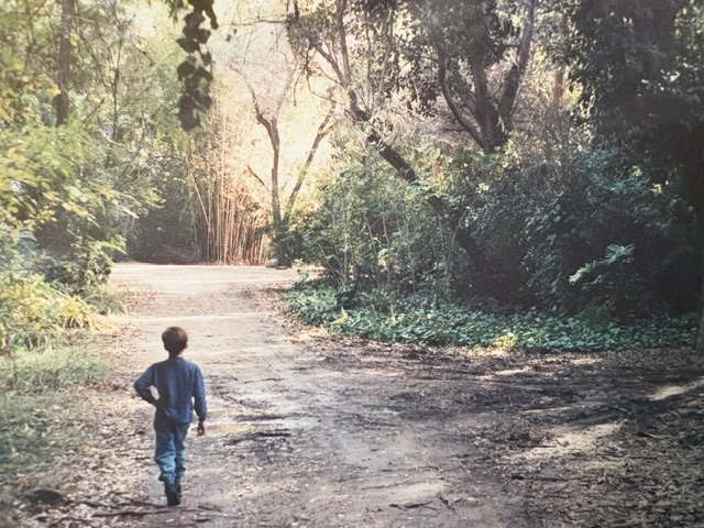 A young child walking along a dirt path surrounded by lush greenery and trees.