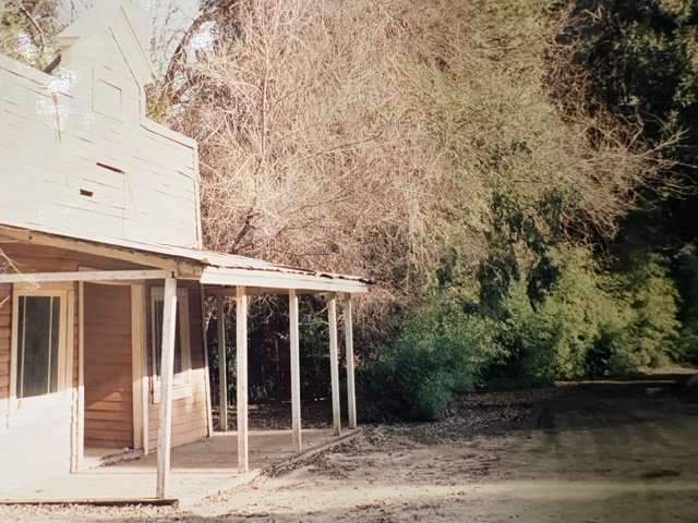 A weathered wooden building with a porch, surrounded by bare trees and dense green foliage, set along a dirt path.