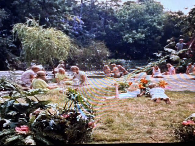 A serene outdoor scene depicting a group of people gathered near a riverbank, surrounded by lush greenery and colorful flowers, enjoying a leisurely moment in nature.