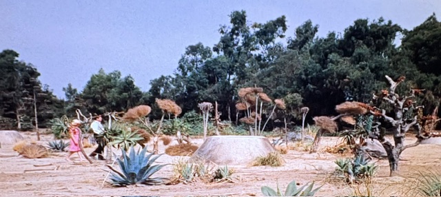 A landscape featuring two people walking through a barren area with sparse vegetation, including agave plants and unusual shrubbery, under a clear blue sky with trees in the background.