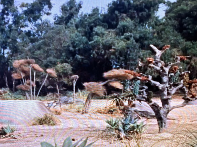 A natural landscape featuring various trees and shrubs, with some bending in the wind, set against a backdrop of lush greenery.