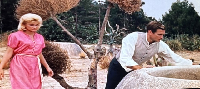 A blonde woman in a pink dress standing beside a man in a white shirt, both in a natural outdoor setting with unique vegetation.