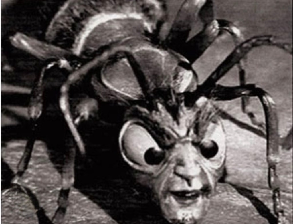 A surreal black and white close-up of a creature resembling a spider with a human-like face and large, expressive eyes.