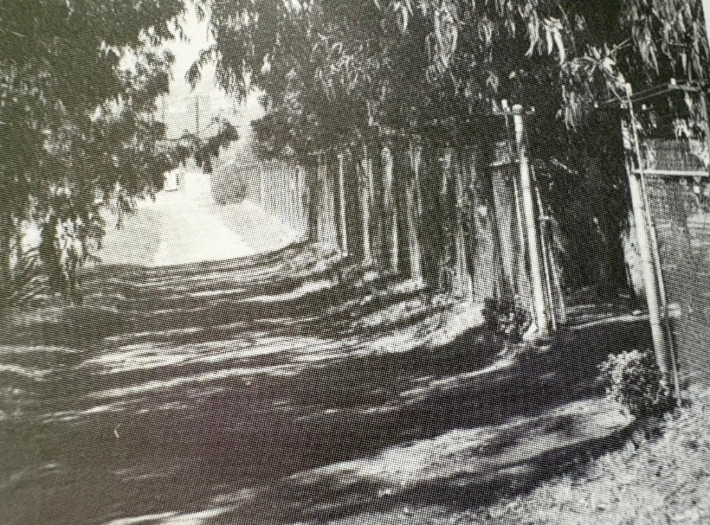 A tree-lined path with shadows on the ground, leading towards a distant structure.