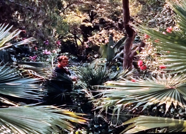A man standing in a lush, tropical garden surrounded by vibrant green palm leaves and colorful flowers.