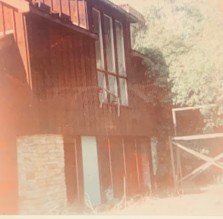An exterior view of an old, weathered house with wooden siding and large glass windows, partially obscured by greenery.