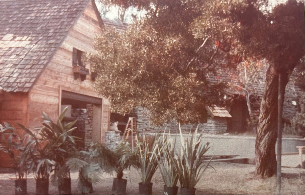 A rustic wooden building with a shingled roof, surrounded by potted tropical plants and lush greenery.