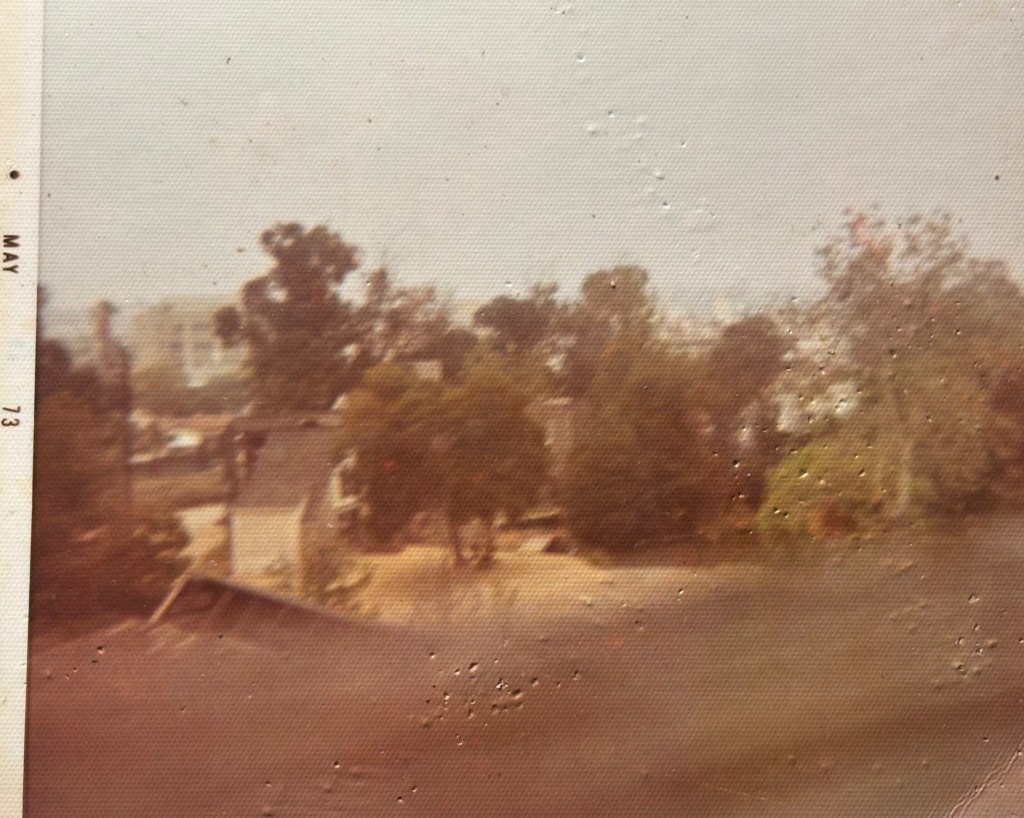 A blurred outdoor view featuring trees and buildings, with a cloudy sky and a vintage film effect.