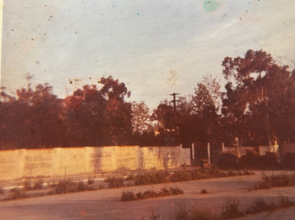 A faded image of a street scene with trees and a wall in the background, under a cloudy sky.