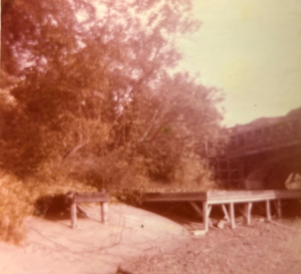 A foggy or retro image depicting a shore with several trees and a wooden structure partially visible.