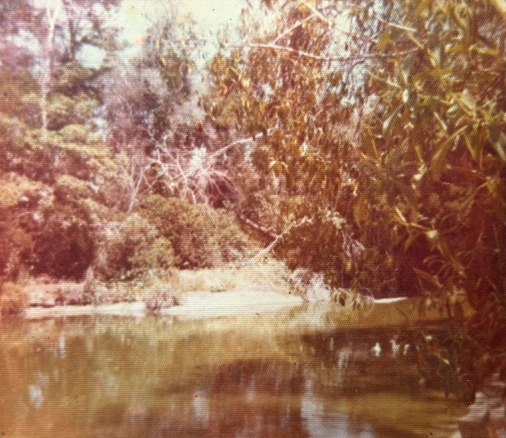 A tranquil river scene surrounded by lush greenery and trees, with reflections visible in the water.