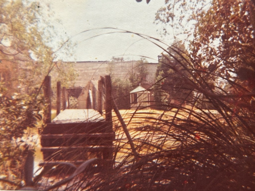 Wooden bridge leading to a gazebo in a tranquil, overgrown area with trees and bushes.