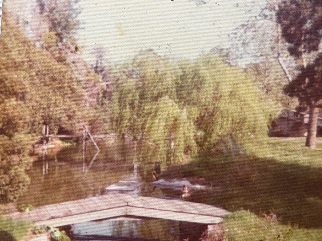 A serene pond scene featuring a wooden dock extending into the water, surrounded by lush trees and a weeping willow. The setting appears tranquil and natural, reflecting a peaceful outdoor environment.