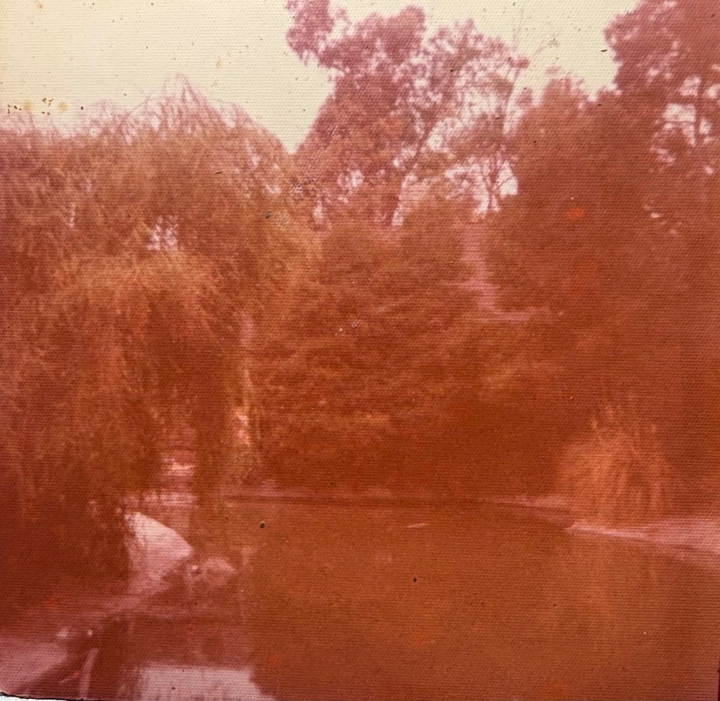 A serene landscape featuring a pond surrounded by lush greenery and trees, with a soft, vintage color tone.