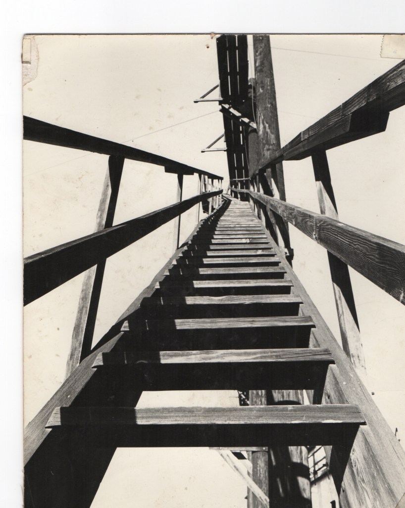 A black and white photograph looking up a wooden ladder towards a structure, with slats and supporting beams visible on either side.